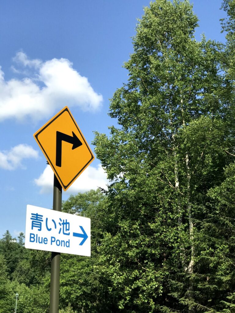 青空の下、「青い池 →」と書かれた白い案内板と右カーブの道路標識が立つ様子。
