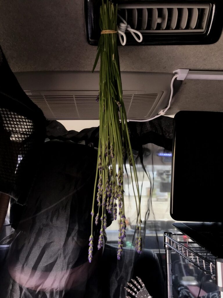 車内のエアコン吹き出し口に吊るされたラベンダーの花束（車中泊中）