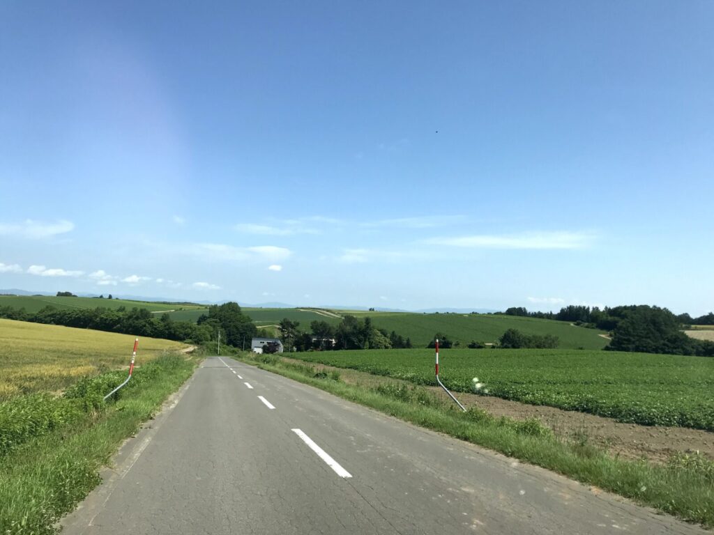 富良野の丘に続くまっすぐな道路と緑の畑の風景