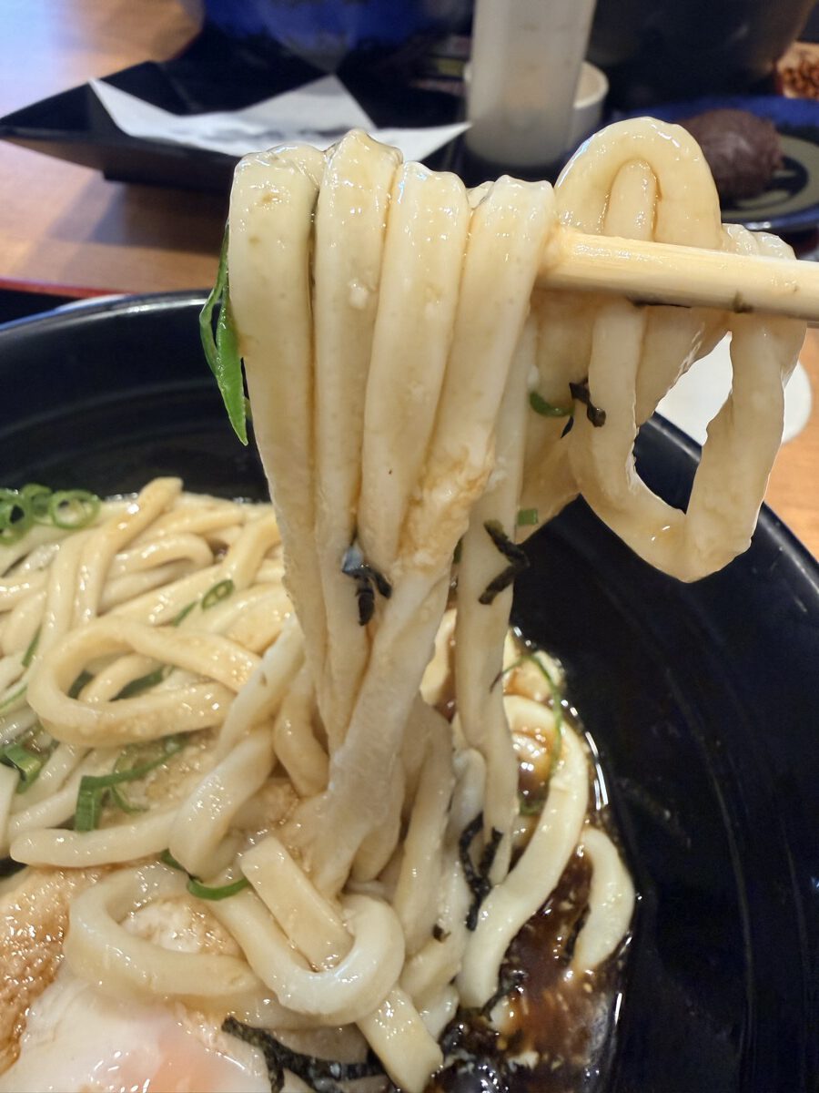資さんうどんの太麺の冷うどんを箸で持ち上げたアップ